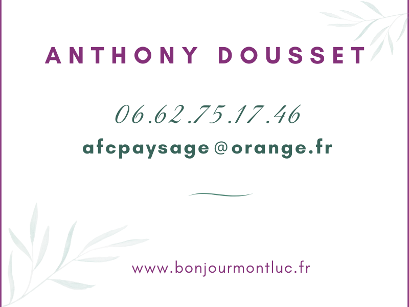 CV pour BM2
